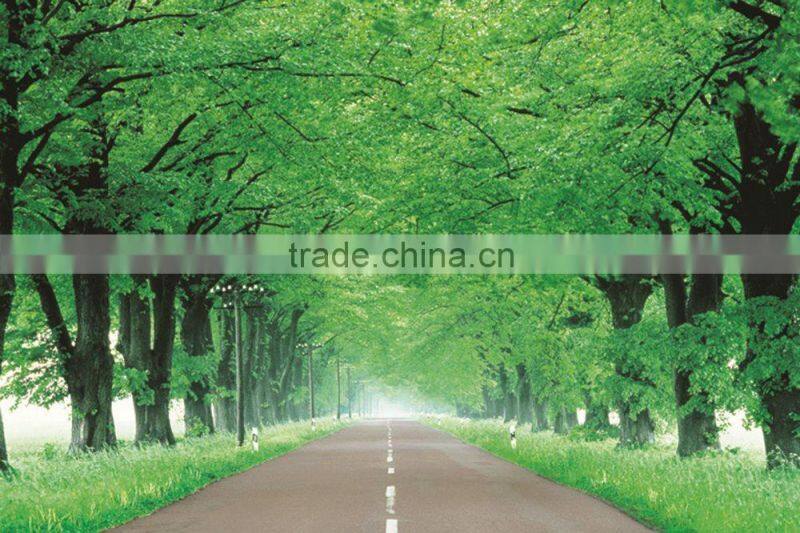 country side path wall paper with bamboo. tree