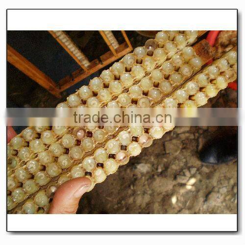 2014 Fresh Best Pure Natural Cheap Price Wholesale Bee Royal Jelly for Sale