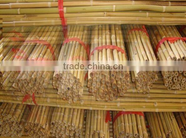 Homestar Cheap Bamboo Fence Designs / Natural cheap Roll bamboo fence For Sale