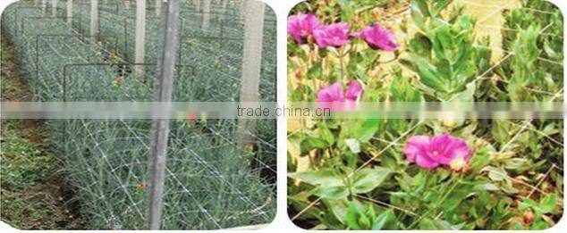 hot selling BOP net(high quality and best price,good aftersales and delivery time)
