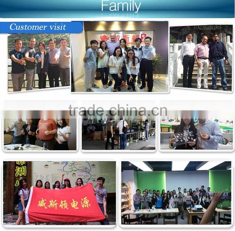 Protection Fuctions 3.7v 500mah lithium battery pack