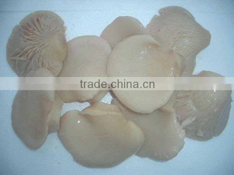 2016Shijixiang Fresh mushroom(Organic)