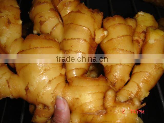 Organic fresh ginger