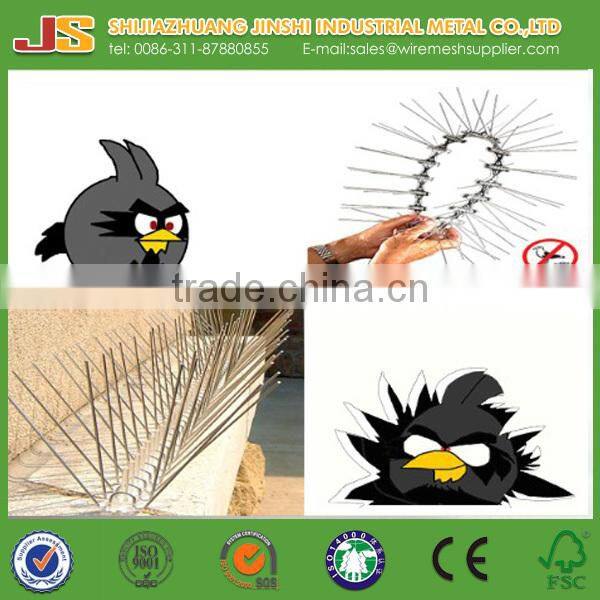 Anti Bird spikes with pc pedestal and SS 304 spike for Bird Repellent