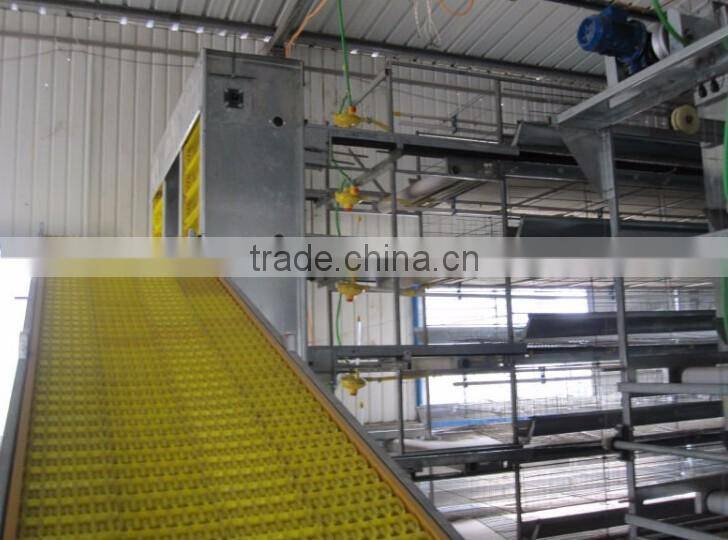 chicken cages poultry farm