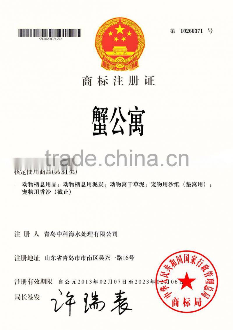 Soft shell crab soft shell crab farm crab farm