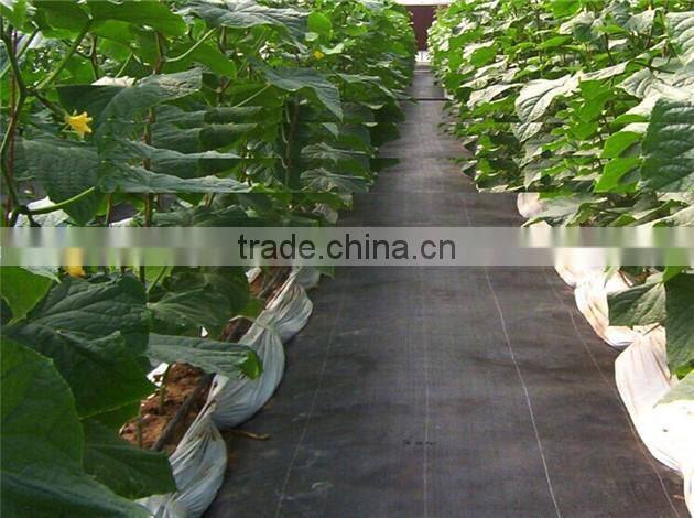 pp/pe woven fabric mat