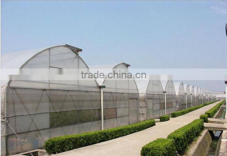 Agricultural greenhouse for hydroponics vegetable
