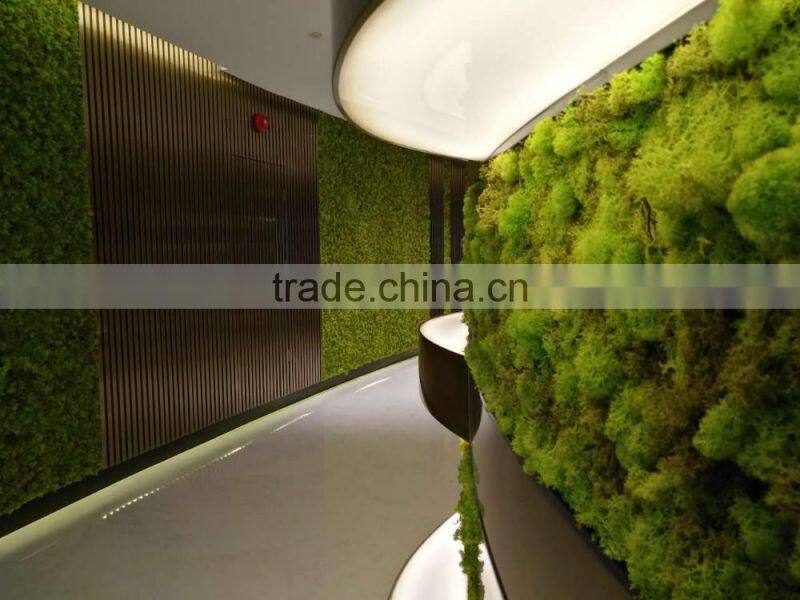 Factory wholesale artificial grass wall uv resist artificial living plant moss wall