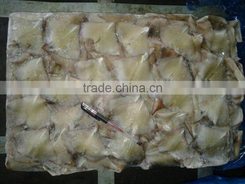 health food, Frozen Squid Wing from China