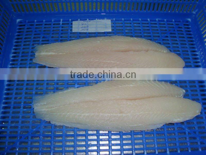 FRESH FROZEN WELL TRIMMED PANGASIUS WHITE FILLET OF ALO SEAFOOD CO.,