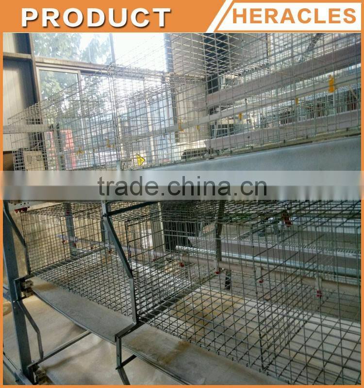 Trade assurance layer chicken cag-- H type cage chicken equipment