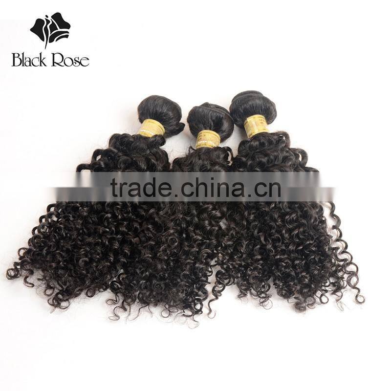 Free Samples Virgin Indian Hair,Raw Unprocessed Indian Human Hair Different Types of Curly Weave Hair