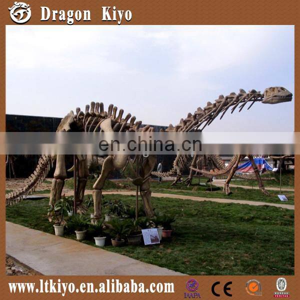 Museum Life Size Dinosaur Fossil For Sale