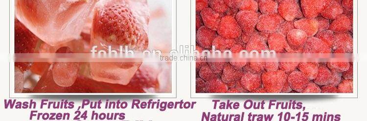 Best Mini Soft Ice Cream Machine