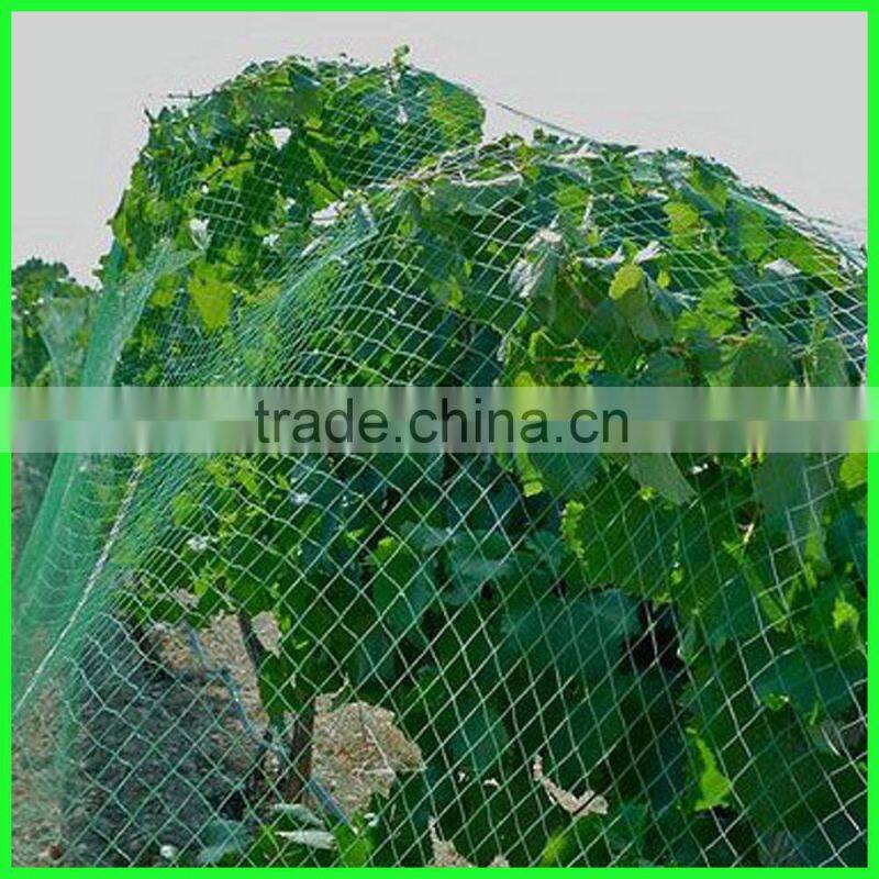 reused virgin HDPE plastic anti bird net/fabric wire bird mesh