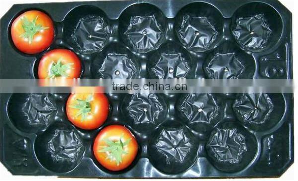 2016 Best Selling Colorful Customized PP apple insert tray