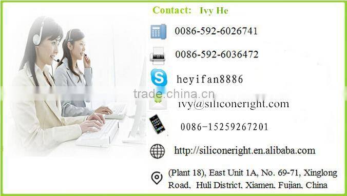 custom passport holder