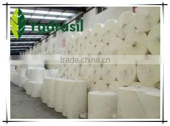 tissue paper mother roll