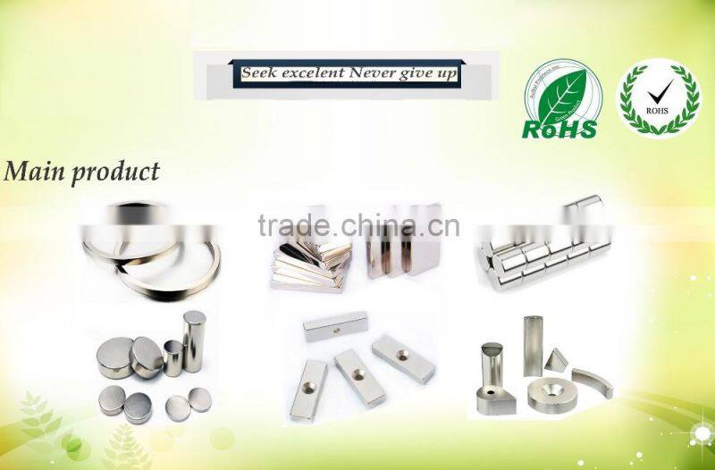 wind turbine rotor magnet