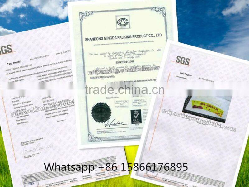 custmized double wall coffee paper cup