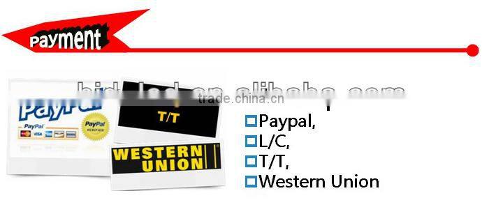 wholesaler h1,h3,h4,h6,h7,h8,h9,h11,9004,9005,9006,9007 25w hid xenon kit