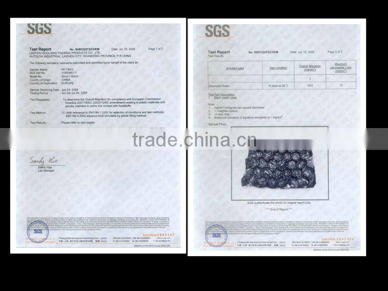 Disposable Plastic Fruit Container