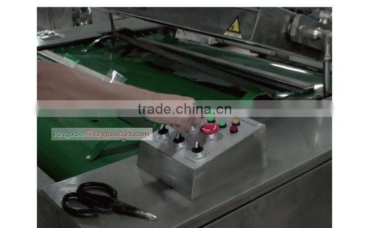 DZ1000 Automatic Food Vacuum Packing Machine