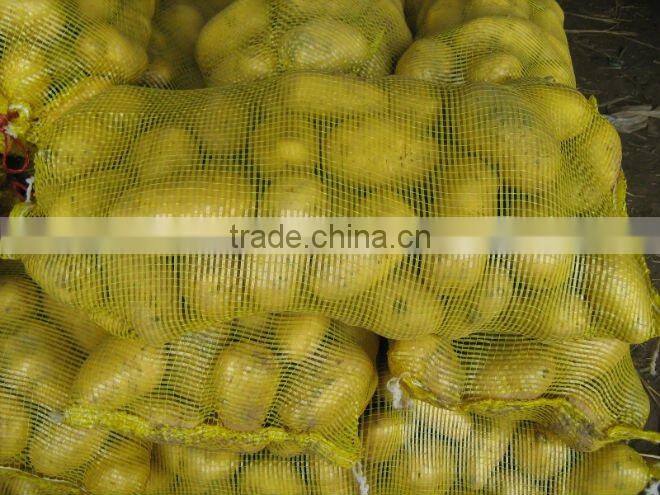 Sell 2013 Fresh Potatoes