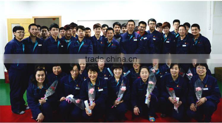 OEM China High Quality Ejector Sleeve Steel Casting Part/Washer Stainless Steel Casting Part/Movable Half Lost Wax Casting Part