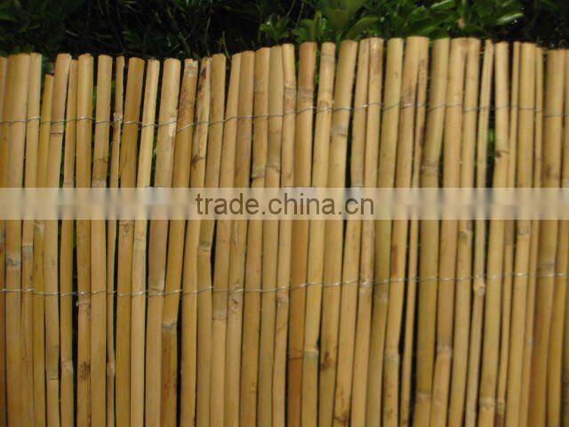Reed Privacy Fence