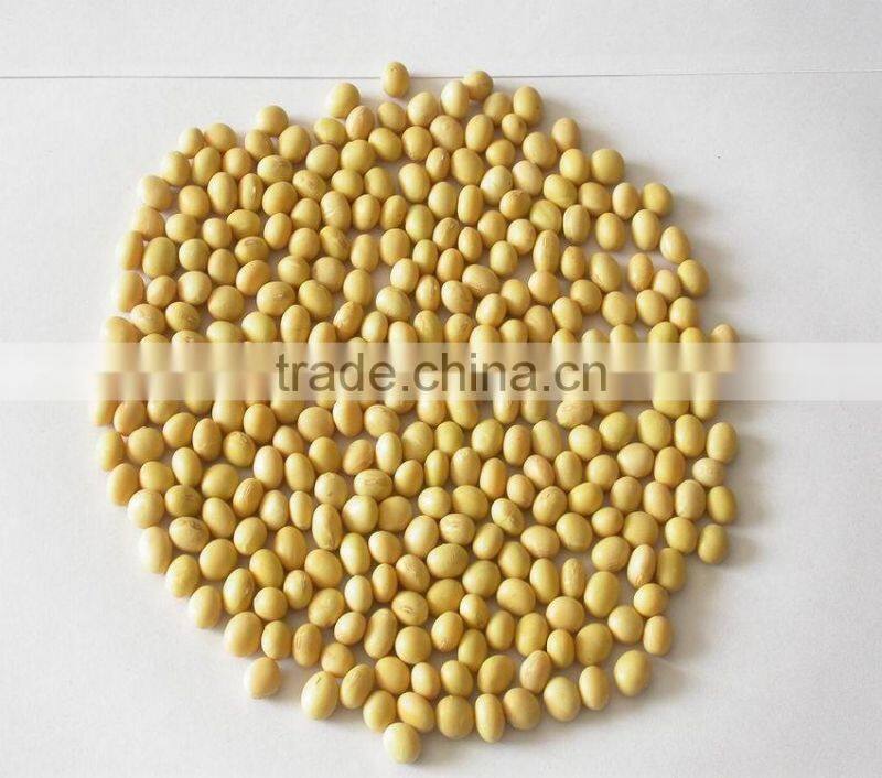 JSX various sizes cheap soybeans for sale hot sell china yellow soya beans