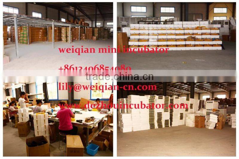 Mini incubadoras 8eggs,12eggs,24eggs,36eggs,48eggs,72eggs,96eggs,112eggs