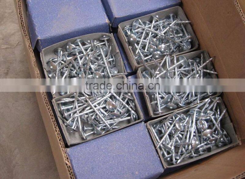 nail polish/Galvanized cap roofing nails/Polishing Clout Nails
