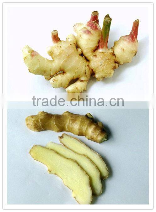 200L High Quality Ginger Oil Distill Equipment on sale (EC)