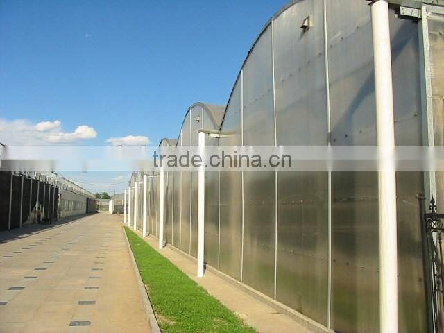 Bow film greenhouse