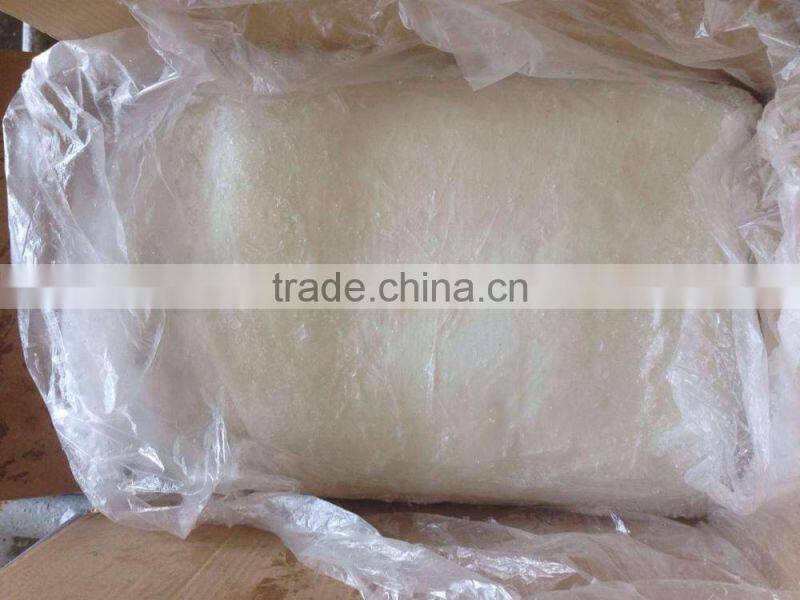 frozen giant squid fillet