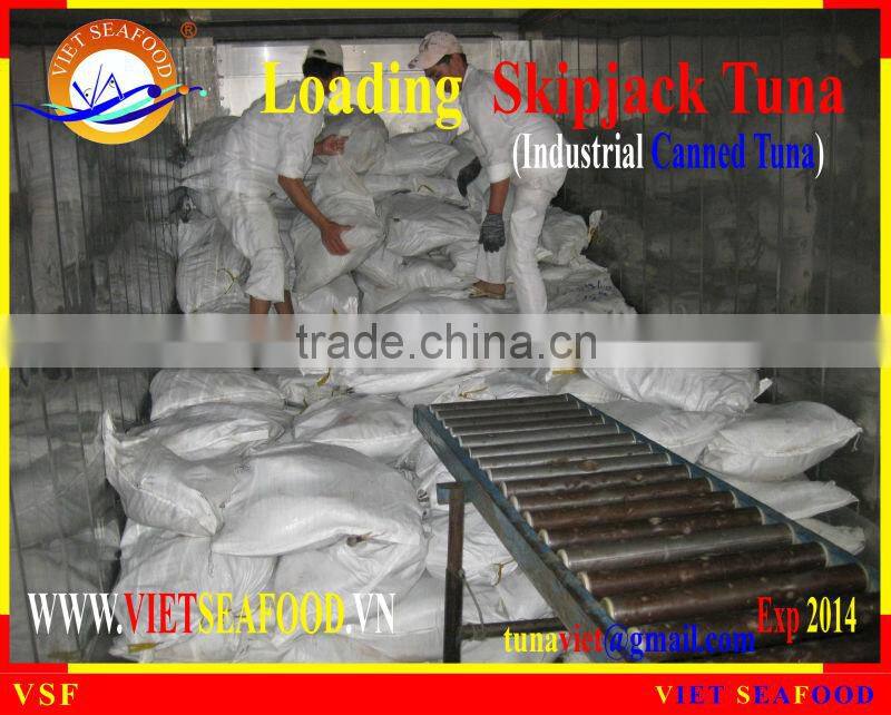 LOADING FROZEN SKIPJACK TUNA W/R