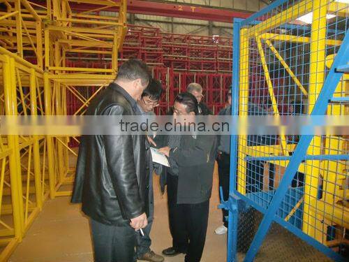 Best SS100/100 Mini Lifting Hoist For Material