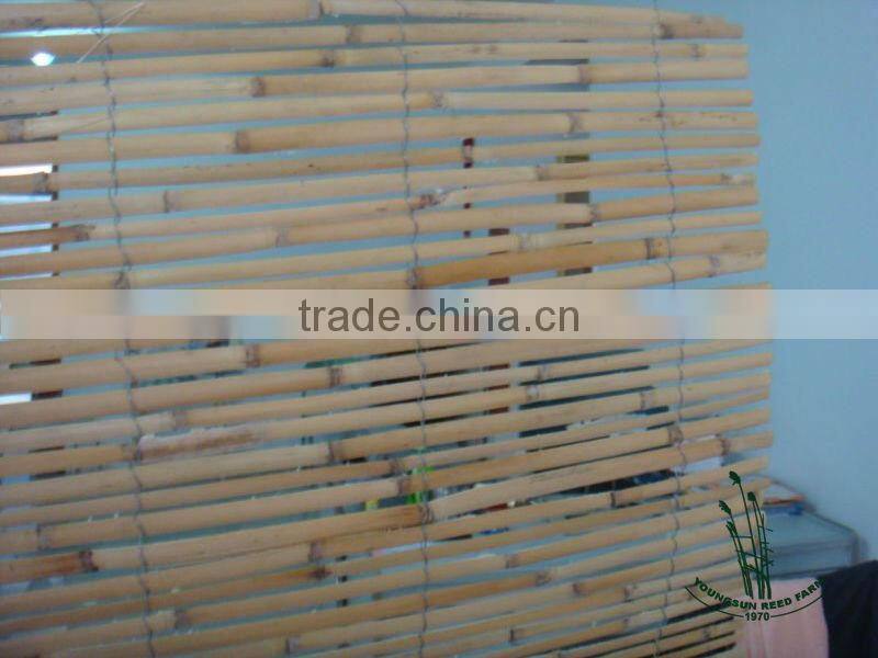 reed slat fence