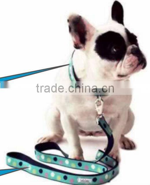 Webbing Tape for Dog Collar,Lead,Leash