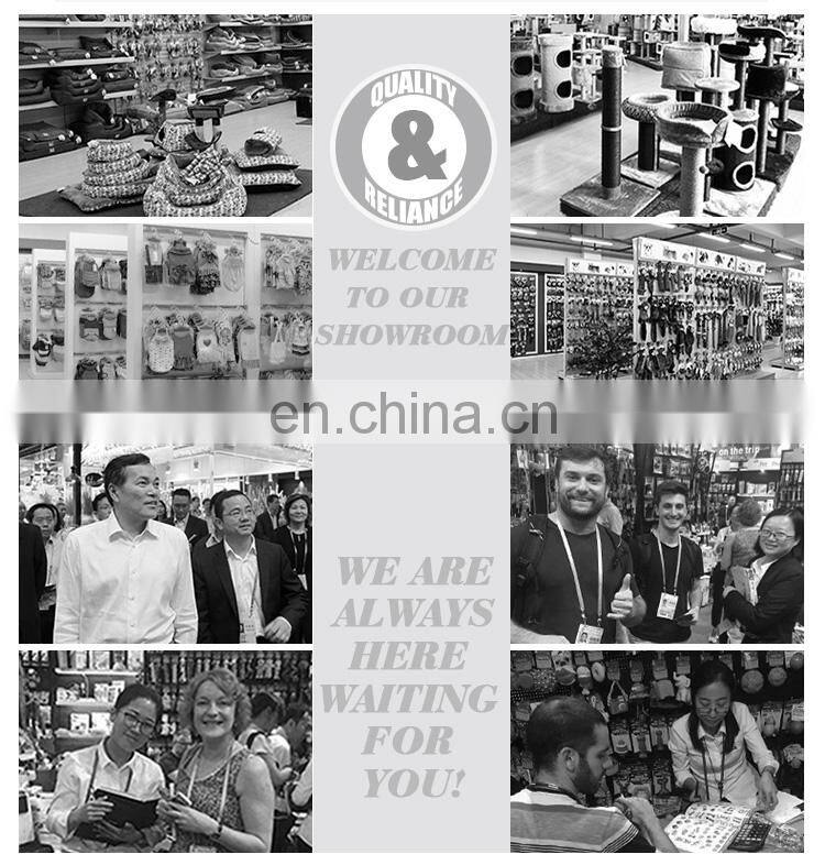 300ML 600ML 750ML Factory Direct Sale Pet Drinking Bottle Stainless Steel Water Outdoor Sport Bottle