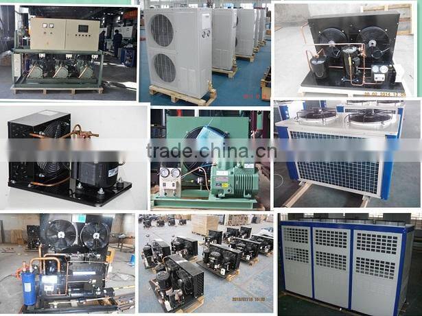 parallel condensing unit for cold room keep fruit fresh