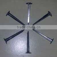hot saled shoe tack nails(factory)