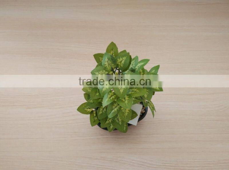 outdoor bonsai rose blossom tree,mini fake agave plant treens