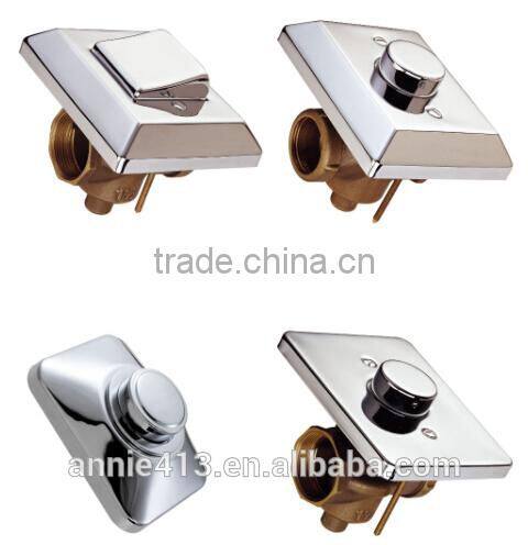 squat toilet with flush push button