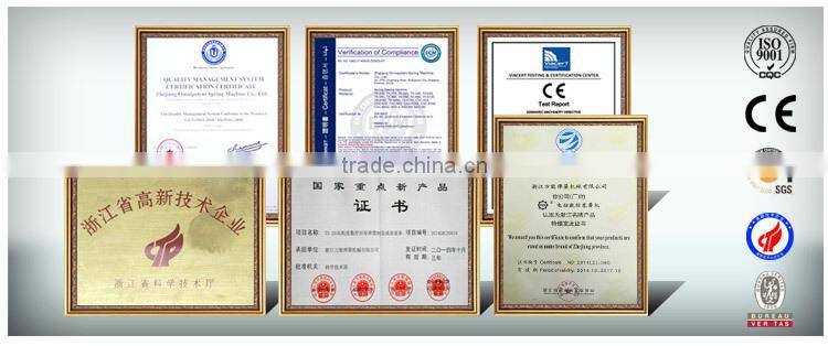 China Supplier English Hook Spring Machine with Japan Motor