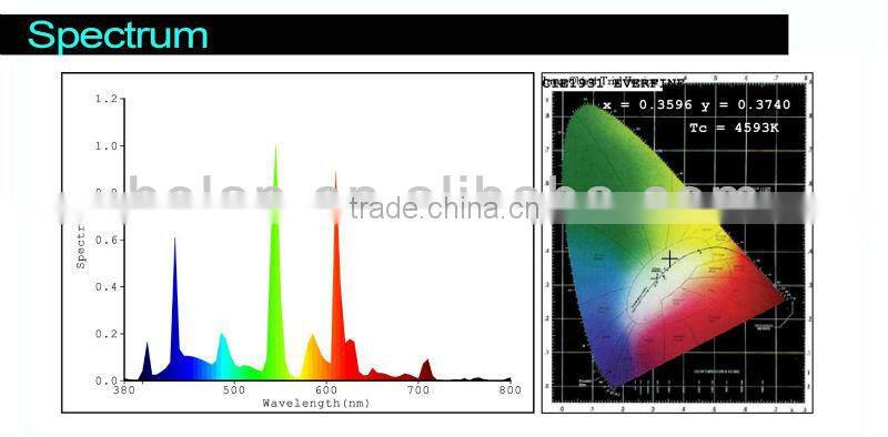 40W 2700K modern Self-ballasted induction Lamp