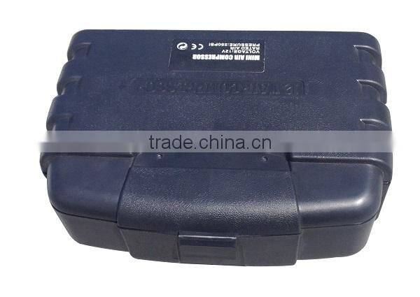 DC 12V 150psi Screw Car Air Compressor Price