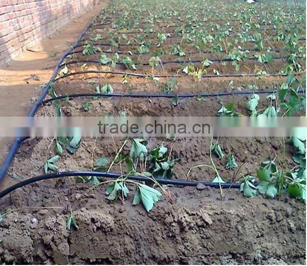 drip irrigation pipe
